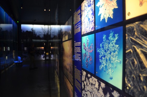 Siida museum seasons display
